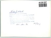 57572 W5241 Niederfischbach FOTO KEINE AK Ortsansicht