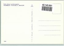 Hallerbach Laubwald Kinder am Bach Baum