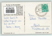 Eulen, gute Erhaltung Eule