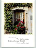 Geranien im Blumenkasten AKU2 Blume