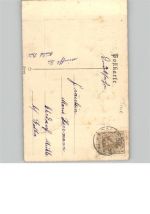 Pfingsten Maikäfer