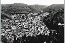 75323 W7547 Calmbach