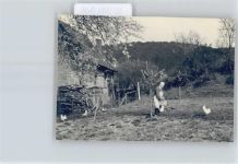 66996 W6781 Fischbach bei Dahn - Foto