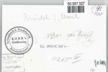 56867 W5589 Briedel - Foto