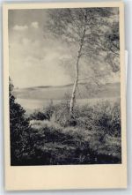 Natur