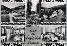 75337 W7546 Enzklösterle - Gasthof, Pension Berghof