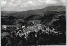 79669 W7863 Zell im Wiesental - Berg Panorama Gesamtansicht