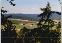 72525 W7420 Münsingen , Württ - Gestüt Lerchenhof