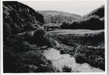 65391 W6223 Lorch , Rheingau - Baerg Feld Haus Baum