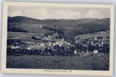 99897 O5809 Tambach-Dietharz , Thüringer Wald - Gesamtansicht