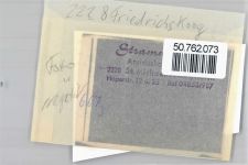 25718 W2228 Friedrichskoog , Dithm FOTO KEINE AK Foto mit Negativ