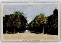 Braila - Hauptstrasse