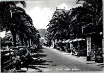 31052 Varago - Palmenstrasse