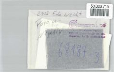 26188 W2905 Edewecht FOTO KEINE AK Foto mit Negativ, Schwimmbad