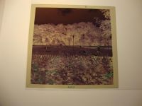 24211 W2308 Preetz , Holst KEINE AK Negativ