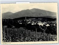 79379 W7840 Müllheim , Baden - Weinberge
