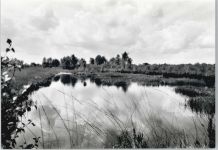 27729 W2864 Hambergen b Bremen
