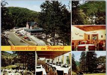 65391 W6223 Lorch , Rheingau - Waldgasthaus Kammerburg
