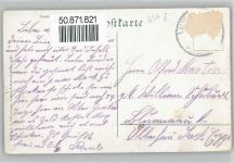 39291 O3271 Altengrabow Gebrauchsspuren Truppenübungsplatz, Klee