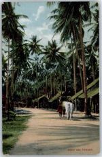 Penang - Dorf in der Nähe Penangs
