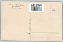 95700 W8591 Neusorg i Fichtelgeb - Gasthaus zur Kellermühle