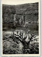 Nationalpark - Visoke-volcano - Old crater and lake Natur