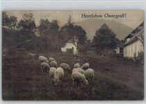 Ostern Schaf 1918