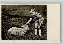 Kind streichelt Schaf Schaf