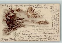 Gruss aus - Vers: Ich schreibe nur wenig Schreiben 1900 Lithographie