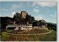 77815 W7580 Bühl , Baden - Ruine Alt-Windeck mit Burggasthaus Weinberge