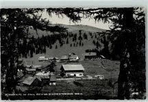Bürgeralpe Foto AK Schönleitenhaus