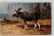 Müller, A. (München)