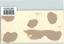 79669 W7863 Gresgen Gebrauchsspuren