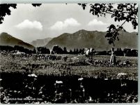 83670 W8173 Bad Heilbrunn - Alpenblick Kühe