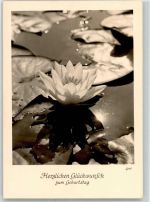 Geburtstag AK Seerose 1958