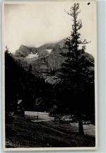 6215 Achenkirch Gebrauchsspuren Karwendel bei der Eng