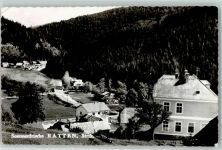 8672 Ratten