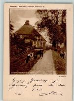 25335 W2200 Elmshorn - Deichlandschaft Kühe