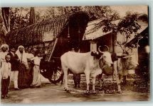 Colombo - Ochesenkarren