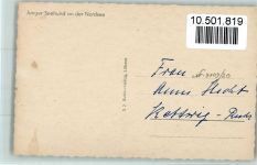 Junger Seehund an der Nordsee ca 1960 AK Robbe