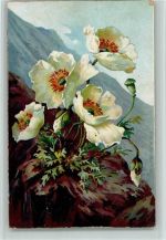 Alpenflora - Blumen 1900 AK Blume