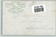 Alpenflora - Blumen 1900 AK Blume