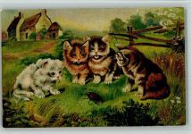 Vier Kätzchen beobachten einen Maikäfer AK Katze 1910 Lithographie