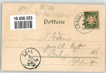 83471 W8240 Schönau a Königssee 1897 Lithographie mit Gemsen Adler und Edelweiss Bahnpost