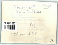 48308 W4403 Bösensell FOTO KEINE AK Ort handschriftlich