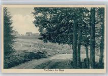 38667 W3396 Torfhaus , Harz