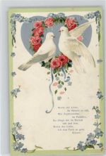 Gedicht - weiße Tauben, Rosengirlande 1908 litho Vergissmeinnicht Prägedruck