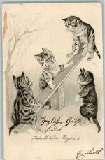 Prägedruck Spiele auf der Wippe Lithographie Katze 1900 Gebrauchsspuren