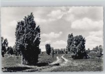 29646 W3045 Wilsede , Kr Soltau - Geitzenberg