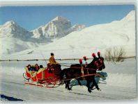 St. Moritz Pferdeschlitten Schlittenfahrt im Engadin Schlitten